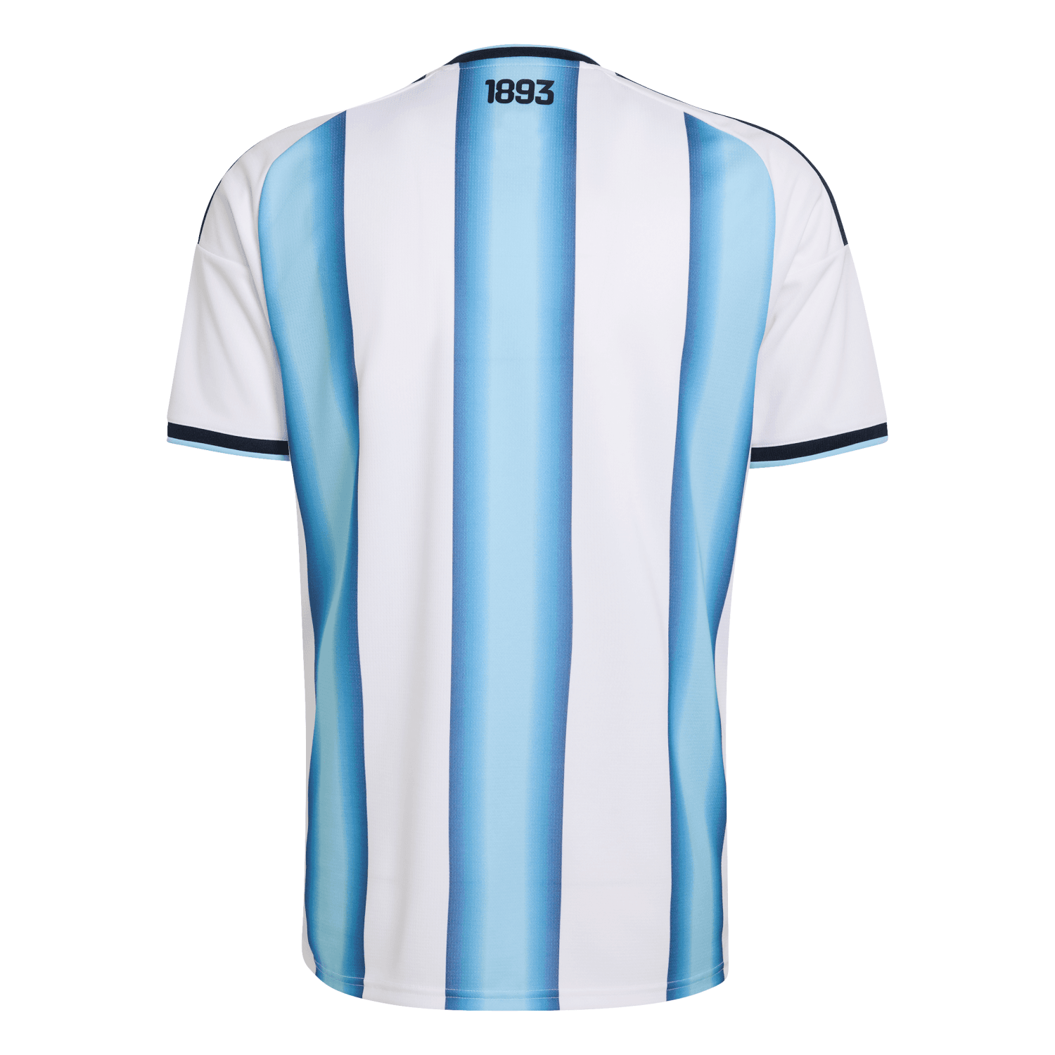 Argentina Home Player Edition — image 4